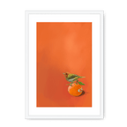 Tangerine Tanager Framed Print Sticky Beaks A3 (297 X 420 mm) / White / White Mount Framed Print
