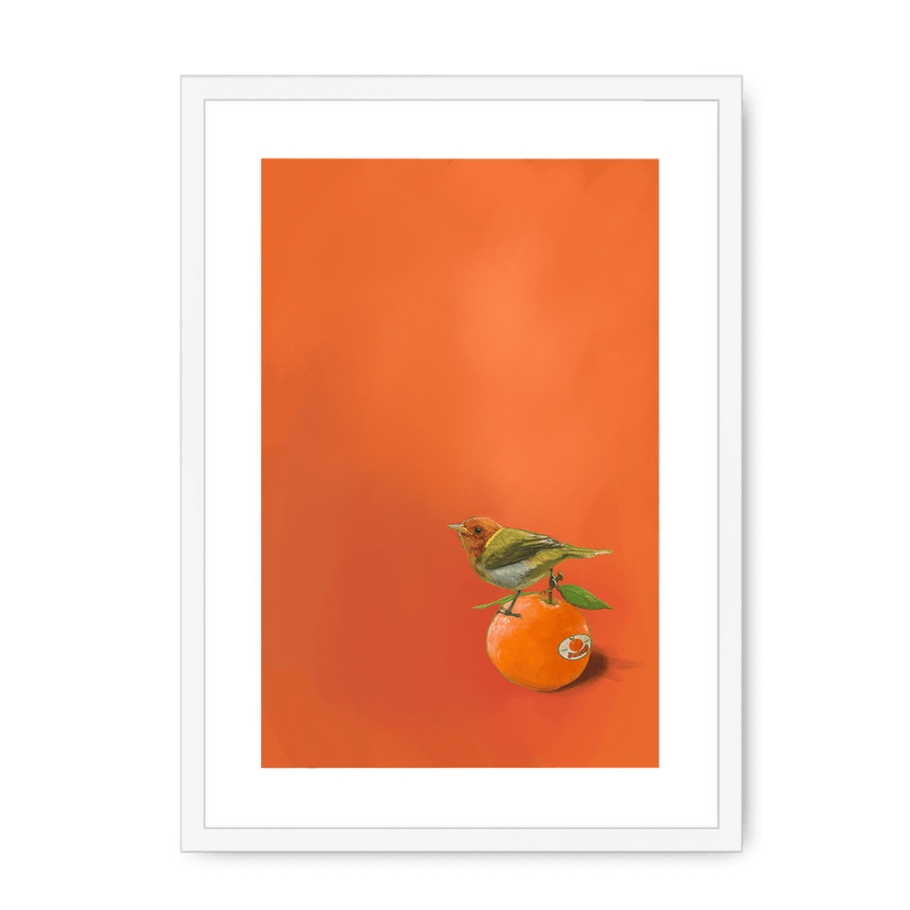 Tangerine Tanager Framed Print Sticky Beaks A3 (297 X 420 mm) / White / White Mount Framed Print