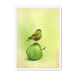 Apple Akekee Framed Print Sticky Beaks A3 (297 X 420 mm) / White / No Mount (All Art) Framed Print