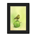 Apple Akekee Framed Print Sticky Beaks A3 (297 X 420 mm) / Black / Black Mount Framed Print