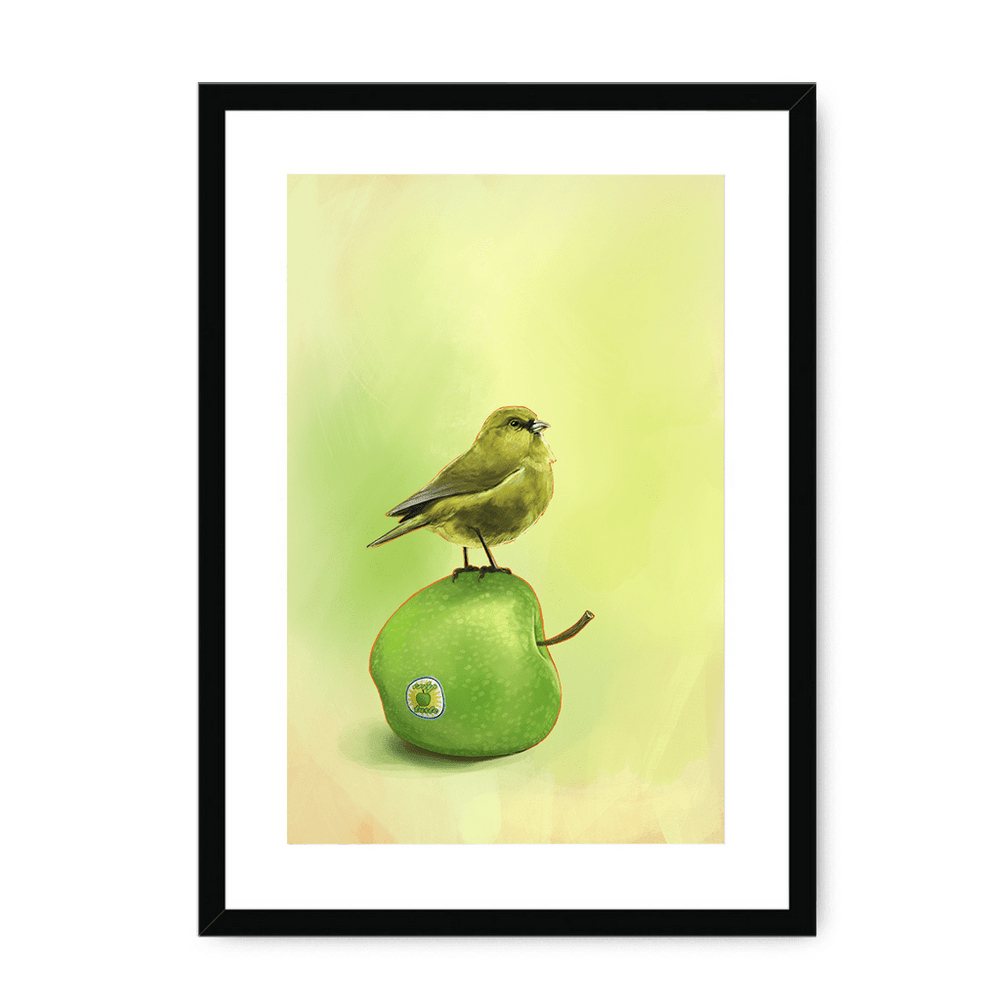 Apple Akekee Framed Print Sticky Beaks A3 (297 X 420 mm) / Black / White Mount Framed Print