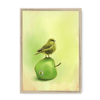 Apple Akekee Framed Print Sticky Beaks A3 (297 X 420 mm) / Natural / No Mount (All Art) Framed Print
