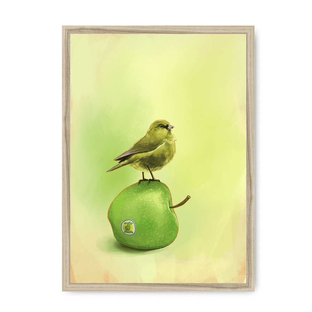 Apple Akekee Framed Print Sticky Beaks A3 (297 X 420 mm) / Natural / No Mount (All Art) Framed Print