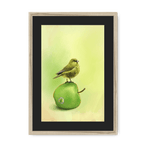 Apple Akekee Framed Print Sticky Beaks A3 (297 X 420 mm) / Natural / Black Mount Framed Print