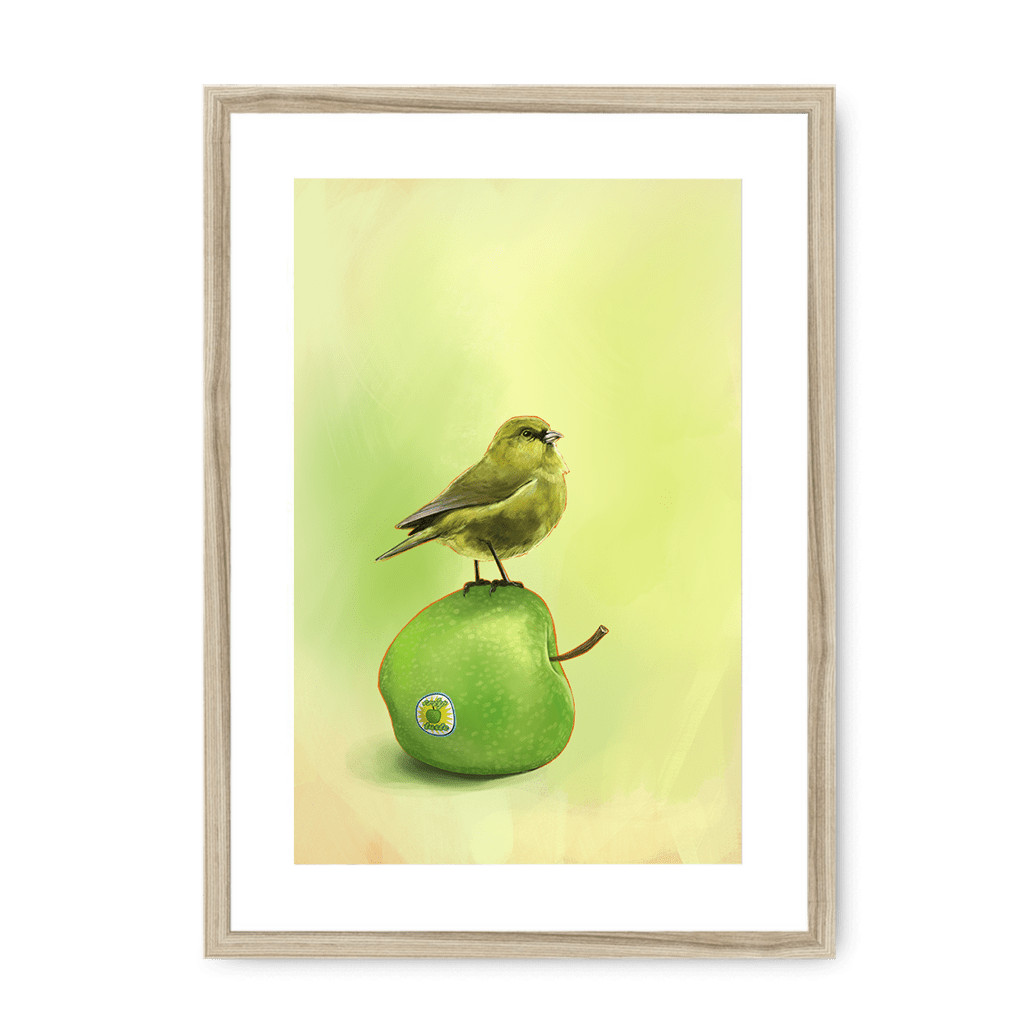 Apple Akekee Framed Print Sticky Beaks A3 (297 X 420 mm) / Natural / White Mount Framed Print