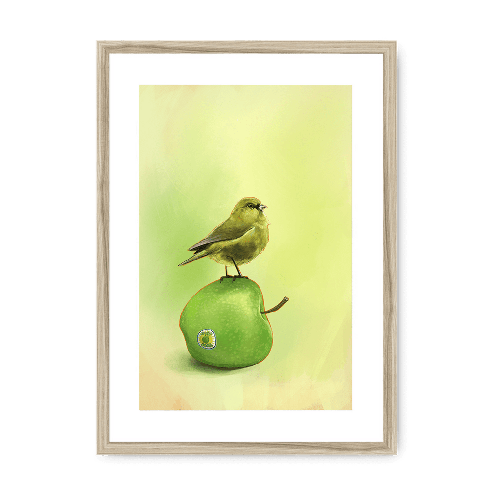 Apple Akekee Framed Print Sticky Beaks A3 (297 X 420 mm) / Natural / White Mount Framed Print