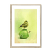 Apple Akekee Framed Print Sticky Beaks A3 (297 X 420 mm) / Natural / White Mount Framed Print