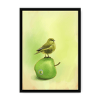 Apple Akekee Framed Print Sticky Beaks A3 (297 X 420 mm) / Black / No Mount (All Art) Framed Print