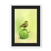 Apple Akekee Framed Print Sticky Beaks A3 (297 X 420 mm) / White / Black Mount Framed Print