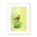 Apple Akekee Framed Print Sticky Beaks A3 (297 X 420 mm) / White / White Mount Framed Print