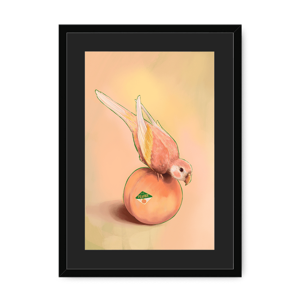 Peachy Parakeet Framed Print Sticky Beaks A3 (297 X 420 mm) / Black / Black Mount Framed Print