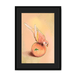 Peachy Parakeet Framed Print Sticky Beaks A3 (297 X 420 mm) / Black / Black Mount Framed Print