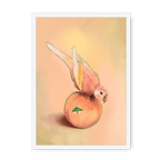 Peachy Parakeet Framed Print Sticky Beaks A3 (297 X 420 mm) / White / No Mount (All Art) Framed Print