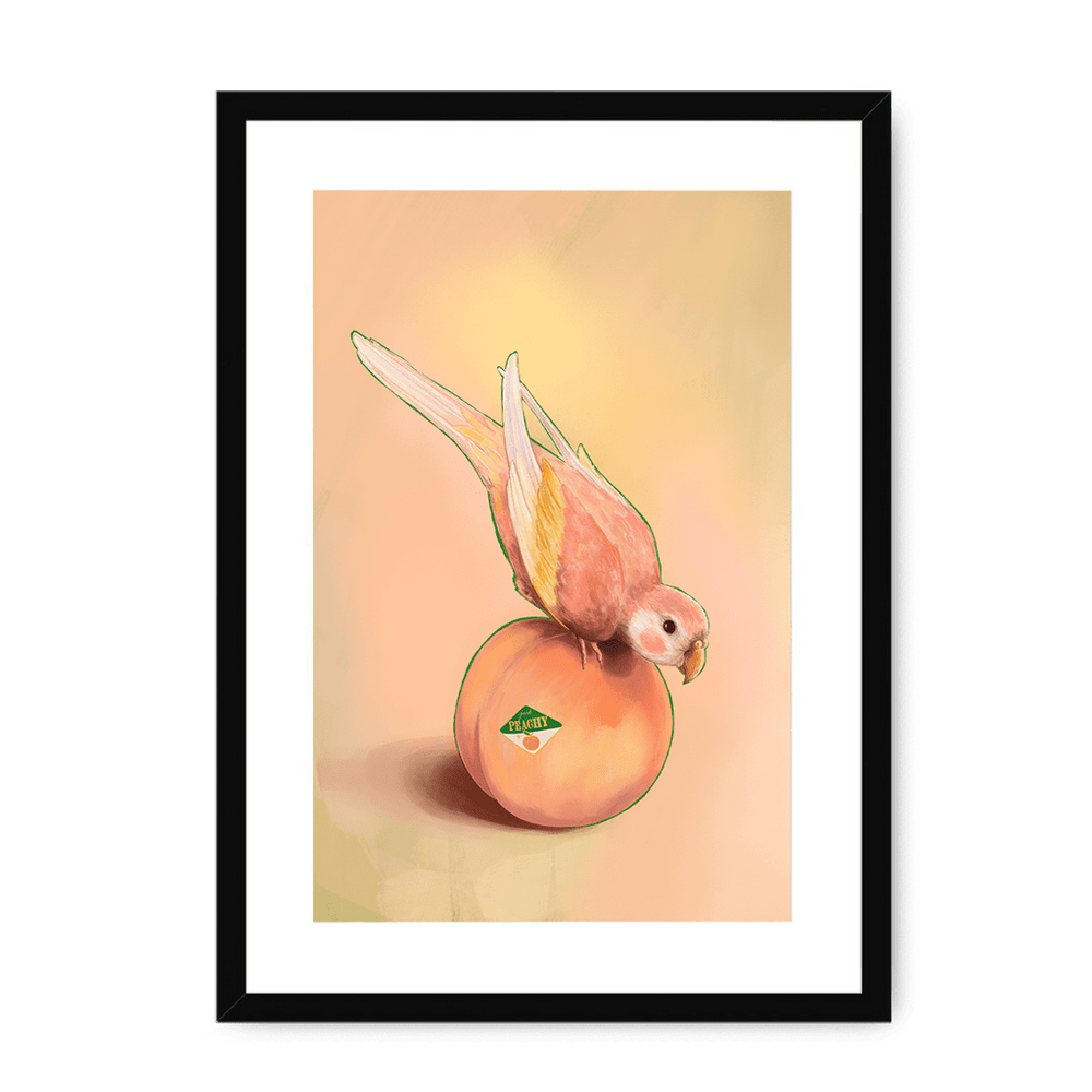 Peachy Parakeet Framed Print Sticky Beaks A3 (297 X 420 mm) / Black / White Mount Framed Print