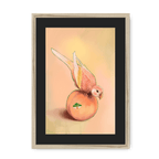 Peachy Parakeet Framed Print Sticky Beaks A3 (297 X 420 mm) / Natural / Black Mount Framed Print