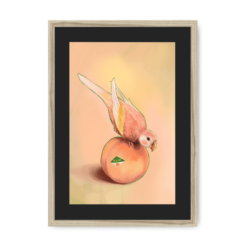 Peachy Parakeet Framed Print Sticky Beaks A3 (297 X 420 mm) / Natural / Black Mount Framed Print