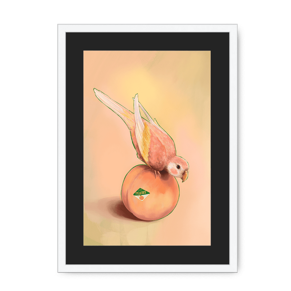 Peachy Parakeet Framed Print Sticky Beaks A3 (297 X 420 mm) / White / Black Mount Framed Print