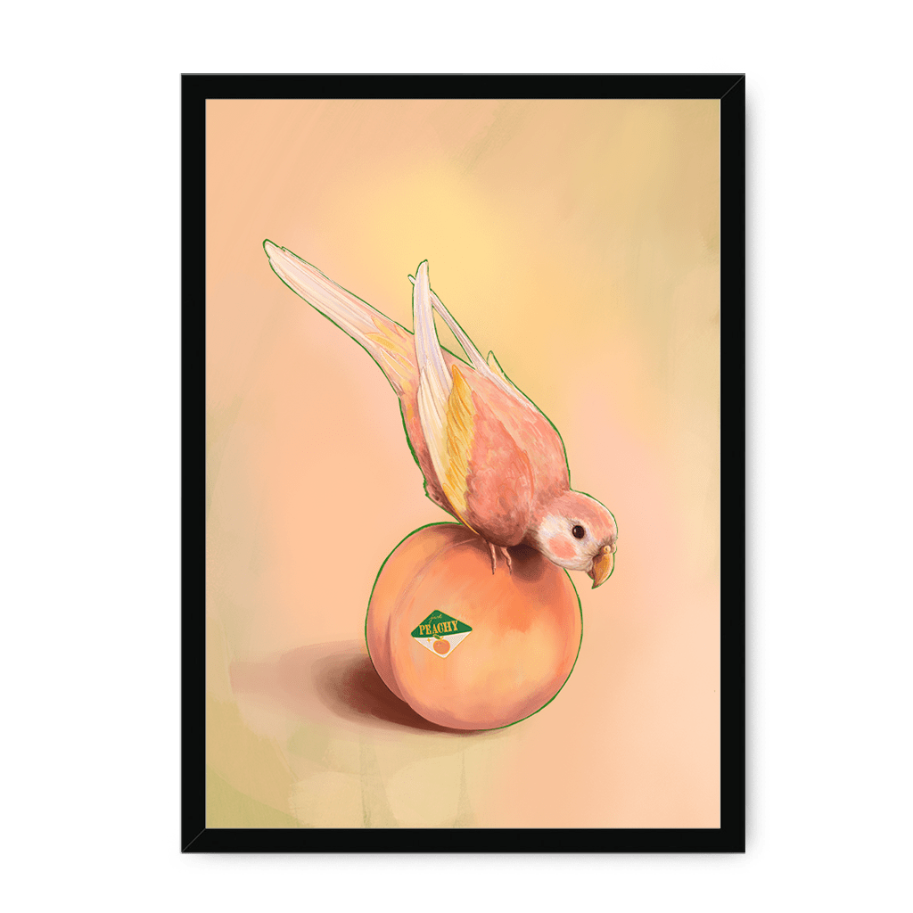 Peachy Parakeet Framed Print Sticky Beaks A3 (297 X 420 mm) / Black / No Mount (All Art) Framed Print