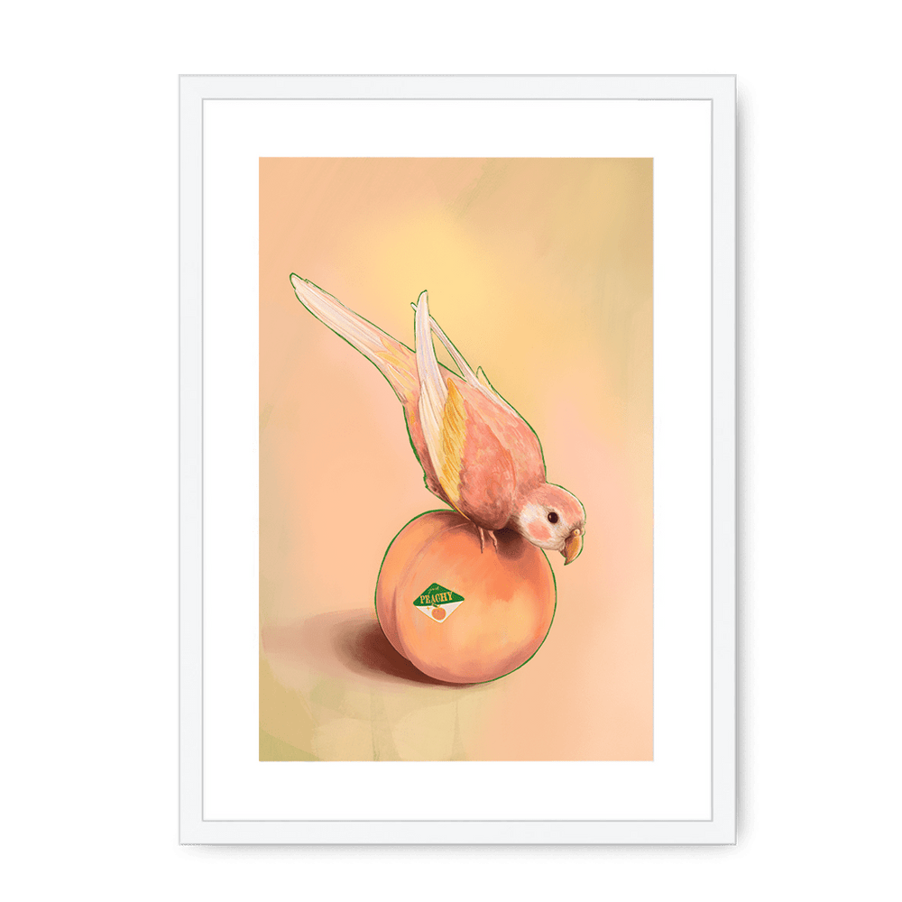 Peachy Parakeet Framed Print Sticky Beaks A3 (297 X 420 mm) / White / White Mount Framed Print