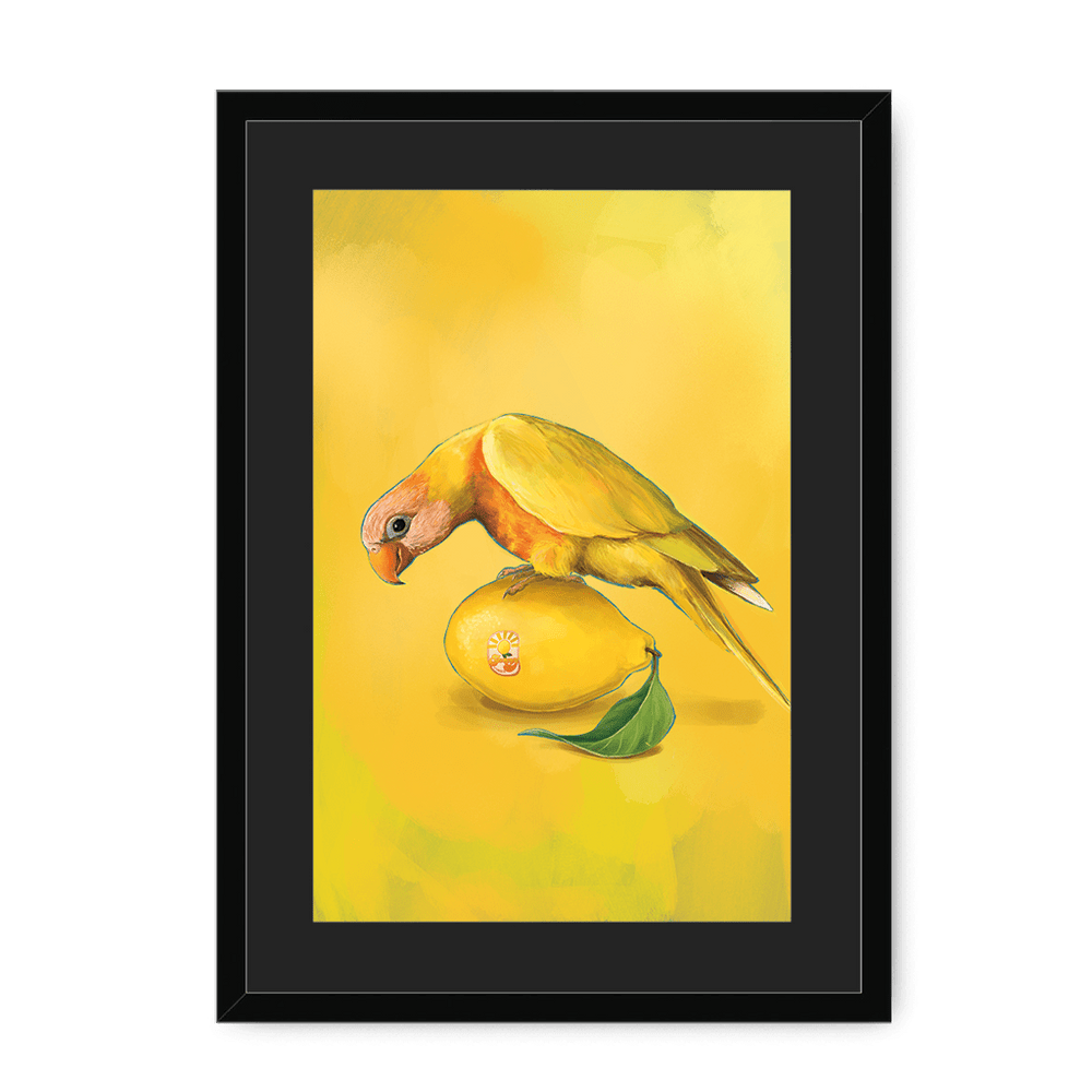 Lemon Lorikeet Framed Print Sticky Beaks A3 (297 X 420 mm) / Black / Black Mount Framed Print