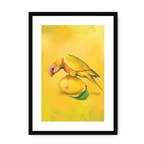Lemon Lorikeet Framed Print Sticky Beaks A3 (297 X 420 mm) / Black / White Mount Framed Print