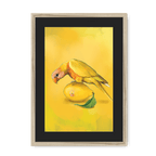 Lemon Lorikeet Framed Print Sticky Beaks A3 (297 X 420 mm) / Natural / Black Mount Framed Print