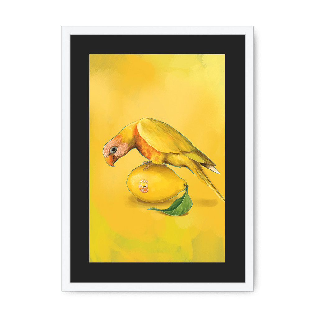 Lemon Lorikeet Framed Print Sticky Beaks A3 (297 X 420 mm) / White / Black Mount Framed Print