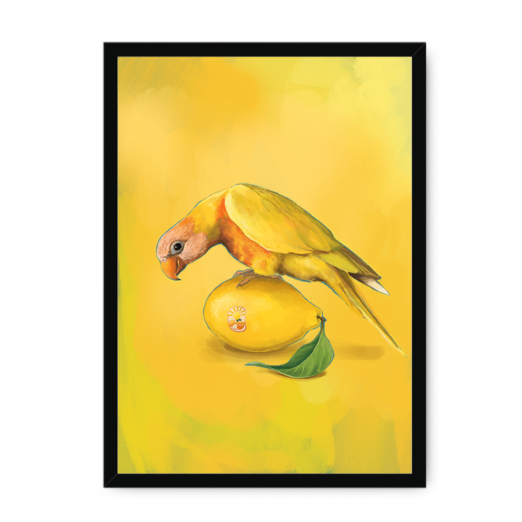 Lemon Lorikeet Framed Print Sticky Beaks A3 (297 X 420 mm) / Black / No Mount (All Art) Framed Print