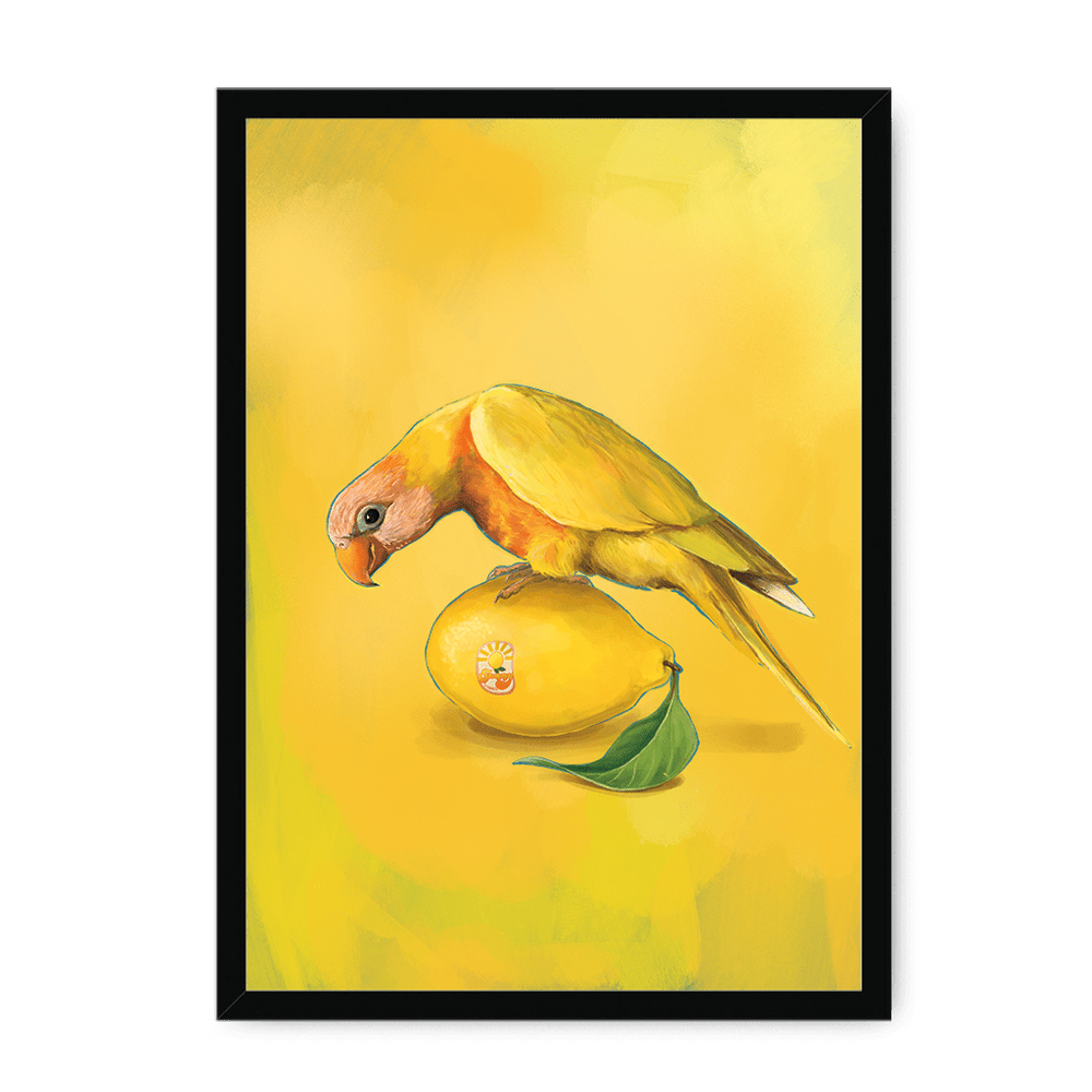 Lemon Lorikeet Framed Print Sticky Beaks A3 (297 X 420 mm) / Black / No Mount (All Art) Framed Print