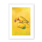 Lemon Lorikeet Framed Print Sticky Beaks A3 (297 X 420 mm) / White / White Mount Framed Print