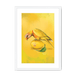 Lemon Lorikeet Framed Print Sticky Beaks A3 (297 X 420 mm) / White / White Mount Framed Print