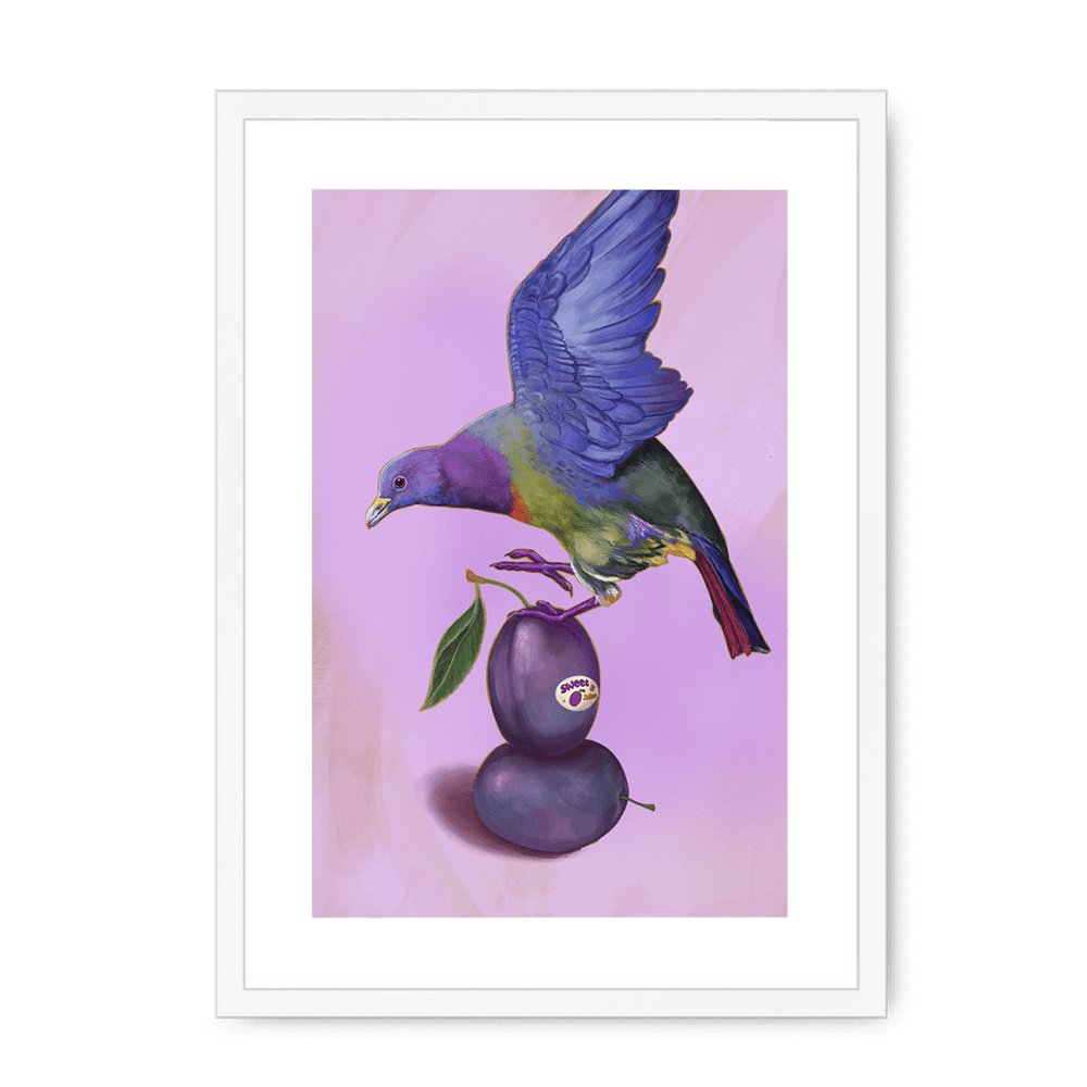 Plump Pigeon Framed Print Sticky Beaks A3 (297 X 420 mm) / White / White Mount Framed Print