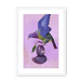 Plump Pigeon Framed Print Sticky Beaks A3 (297 X 420 mm) / White / White Mount Framed Print