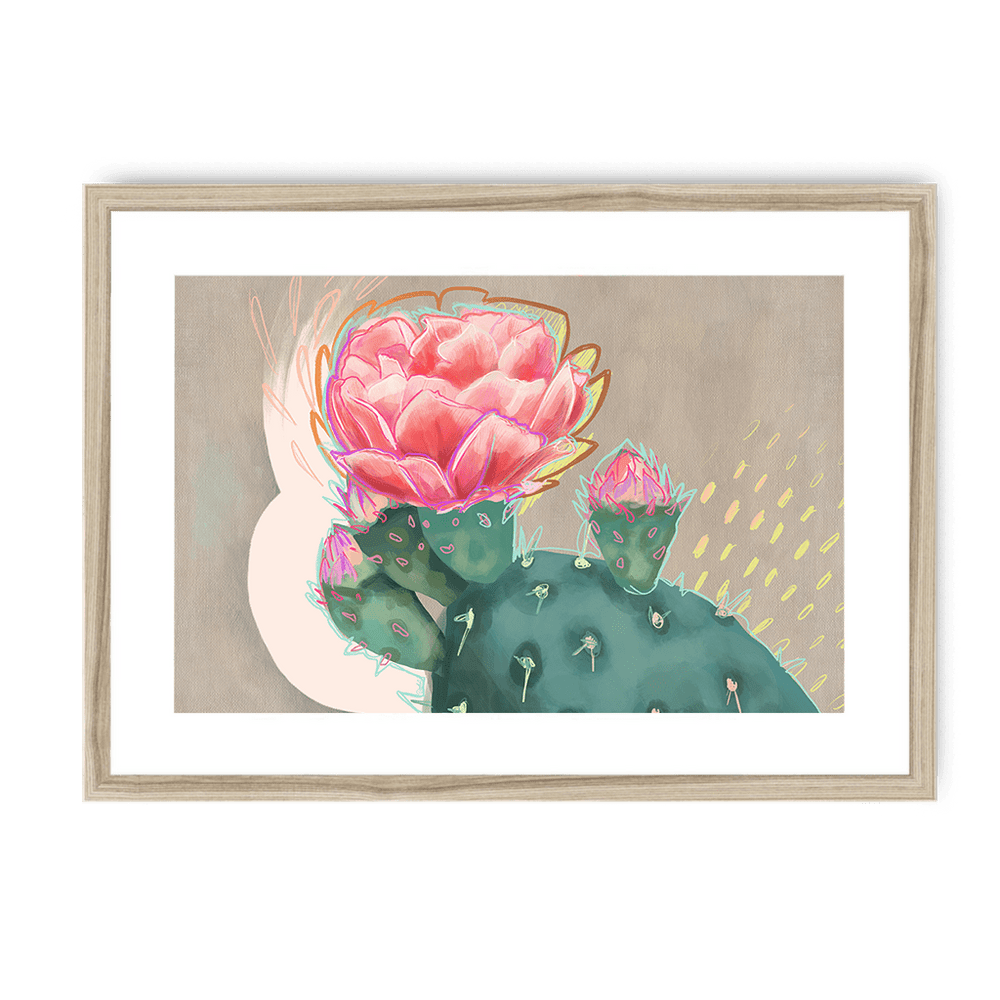 Prickly In Pink Framed Print Heat Flares A3 (297 X 420 mm) / Natural / White Mount Framed Print