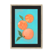 Pêches Giclée Framed Print Intercontinental Fruitery A3 (297 X 420 mm) / Natural / Black Mount Framed Print