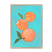 Pêches Giclée Framed Print Intercontinental Fruitery A3 (297 X 420 mm) / Natural / No Mount (All Art) Framed Print