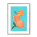 Pêches Giclée Framed Print Intercontinental Fruitery A3 (297 X 420 mm) / Natural / White Mount Framed Print