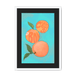 Pêches Giclée Framed Print Intercontinental Fruitery A3 (297 X 420 mm) / White / Black Mount Framed Print