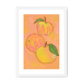 Apfel  Giclée Framed Print Intercontinental Fruitery A3 (297 X 420 mm) / White / White Mount Framed Print