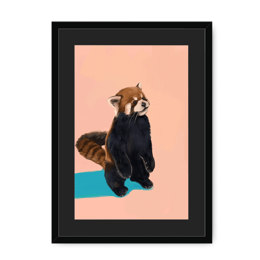 Red Panda PB Framed Print Food Fur & Feathers A3 (297 X 420 mm) / Black / Black Mount Framed Print