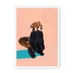 Red Panda PB Framed Print Food Fur & Feathers A3 (297 X 420 mm) / White / No Mount (All Art) Framed Print