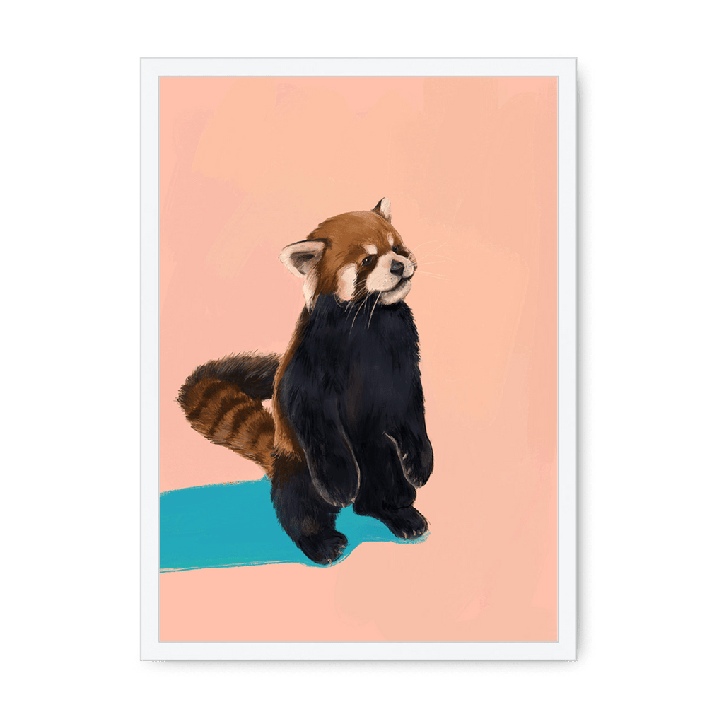 Red Panda PB Framed Print Food Fur & Feathers A3 (297 X 420 mm) / White / No Mount (All Art) Framed Print