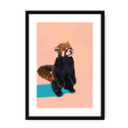 Red Panda PB Framed Print Food Fur & Feathers A3 (297 X 420 mm) / Black / White Mount Framed Print