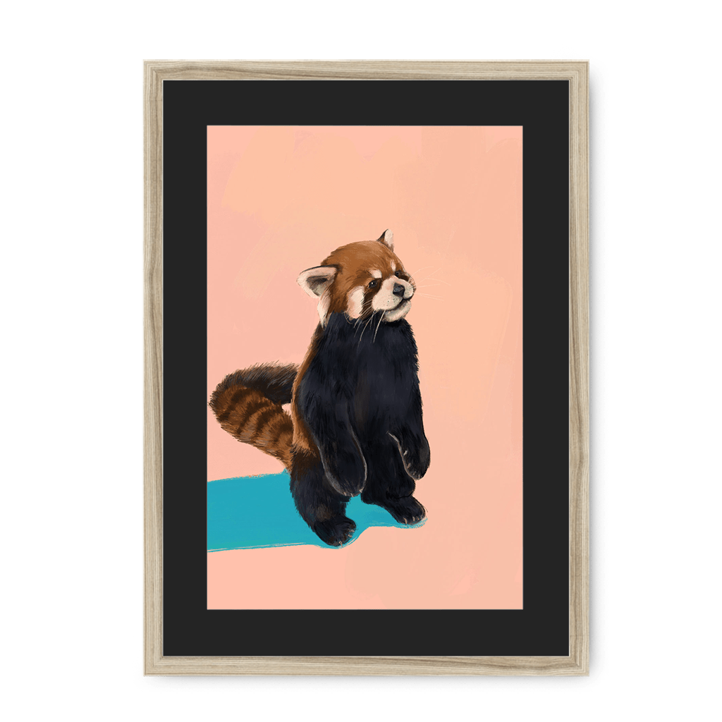 Red Panda PB Framed Print Food Fur & Feathers A3 (297 X 420 mm) / Natural / Black Mount Framed Print