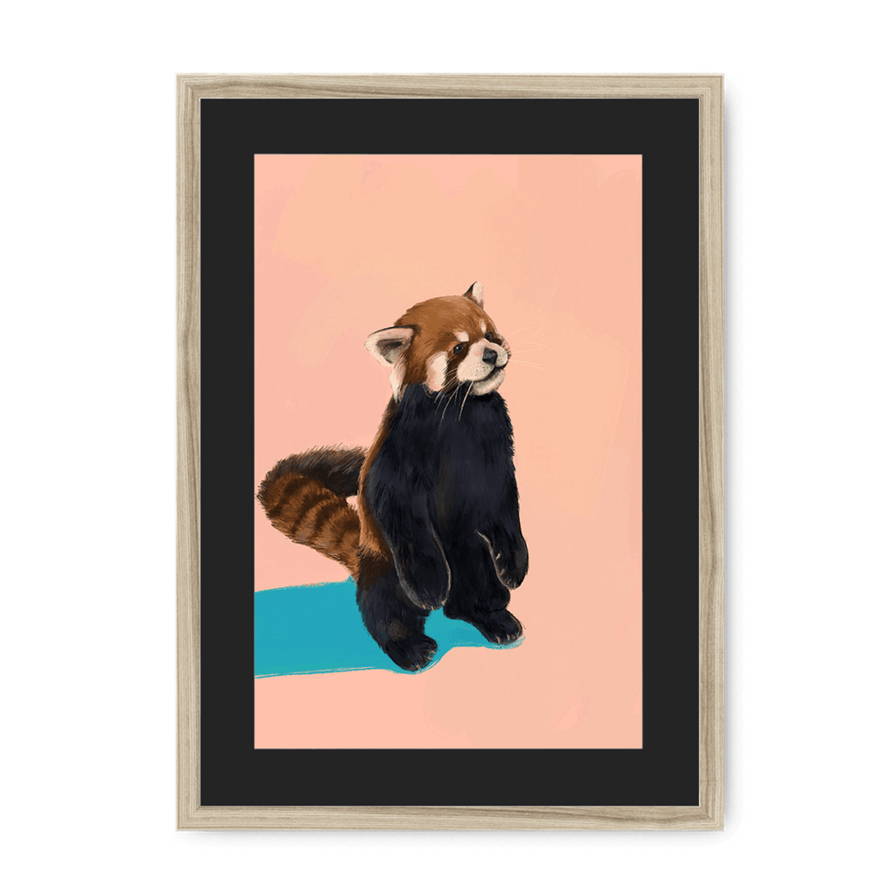 Red Panda PB Framed Print Food Fur & Feathers A3 (297 X 420 mm) / Natural / Black Mount Framed Print