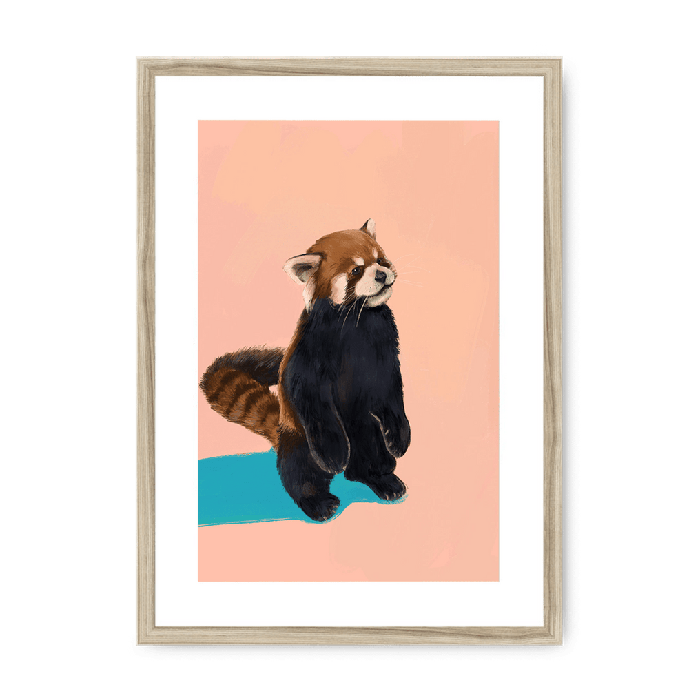 Red Panda PB Framed Print Food Fur & Feathers A3 (297 X 420 mm) / Natural / White Mount Framed Print