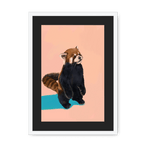 Red Panda PB Framed Print Food Fur & Feathers A3 (297 X 420 mm) / White / Black Mount Framed Print
