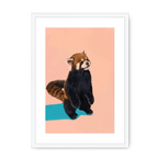 Red Panda PB Framed Print Food Fur & Feathers A3 (297 X 420 mm) / White / White Mount Framed Print