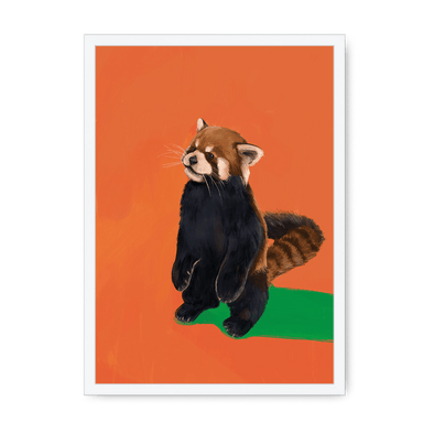 Red Panda OG Framed Print Food Fur & Feathers A3 (297 X 420 mm) / White / No Mount (All Art) Framed Print