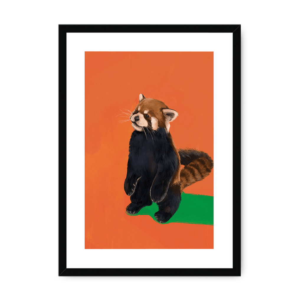 Red Panda OG Framed Print Food Fur & Feathers A3 (297 X 420 mm) / Black / White Mount Framed Print